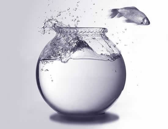 contrarian investing